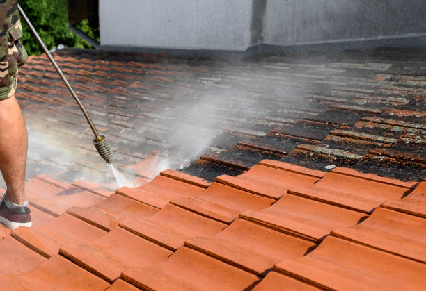 Best Exterior Home Cleaning  in Curtisville, PA